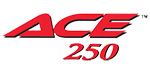 Логотип Garrett Ace 250 отзывы и обзор