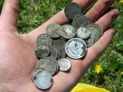 Серебряные монеты на руке кладоискателя