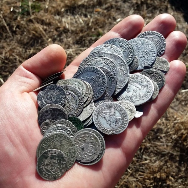 Клад средневековых монет времён Сигизмунда Старого