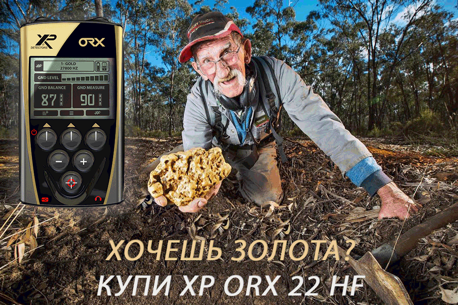 Металлоискатель XP ORX в поиске золота